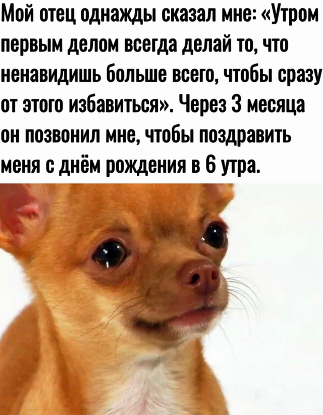 Весёлый полтишок 26.07.24
