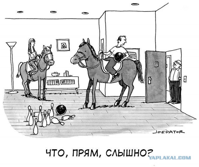 Нуштош 12.09.2024