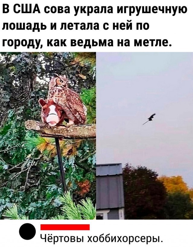 Так себе картинки 23.09.24