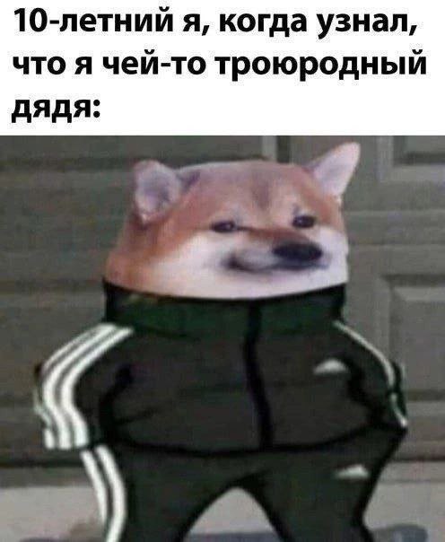 Так себе картинки 29.12.24