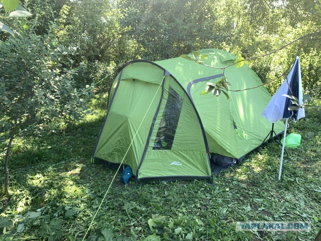 Девушка решила провести ночь в палатке на природе, но к ней в гости пришли два уличных кота — кайфовали уже втроём ☺️