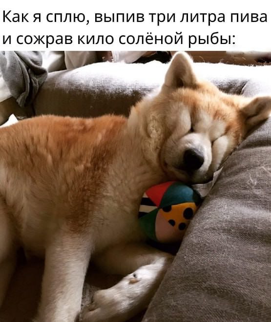 Веселые картинки в маленькую пятницу (14.05)