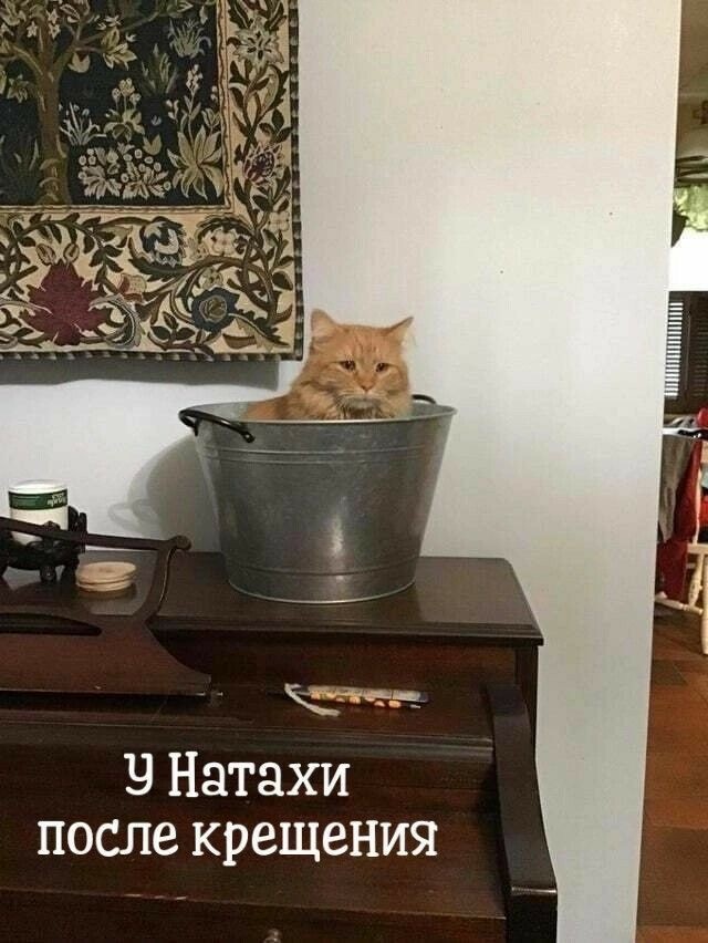 Так себе картинки 13.09.25