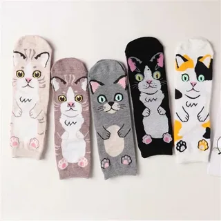 Любимая, не подскажешь, где мои носки?