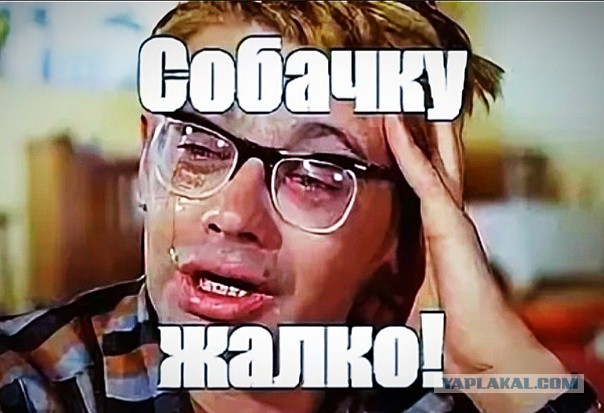 Вся суть зоо@изы⁠⁠