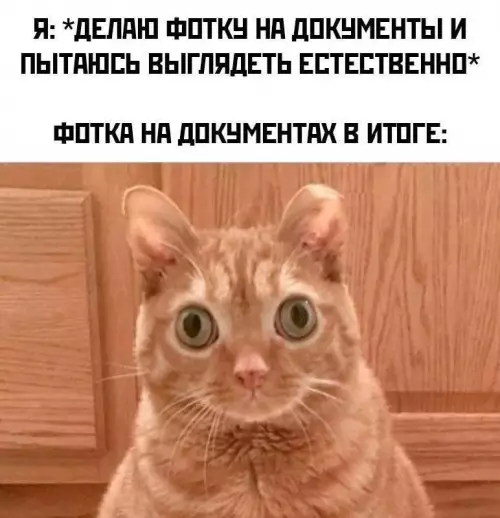 Картиночки, баянчики 02 марта