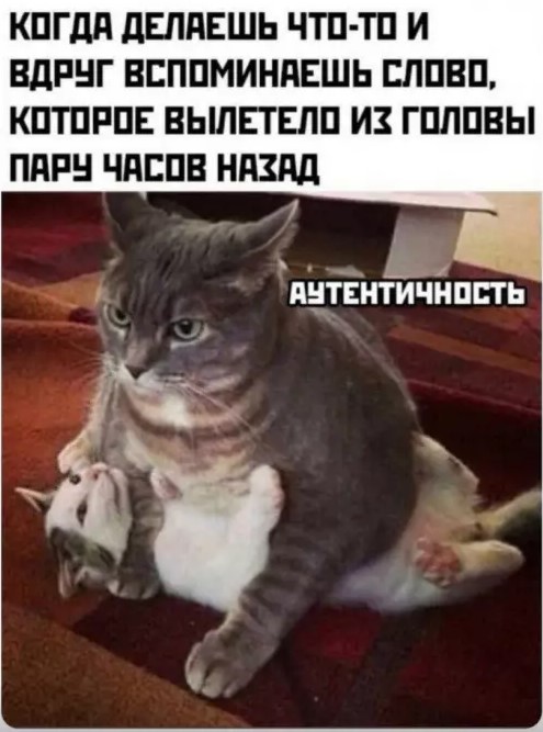 Картиночки, баянчики 27 марта