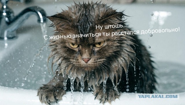 Я тебя запомнил!