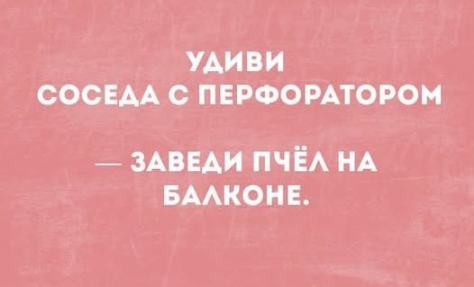 Субботние картинки