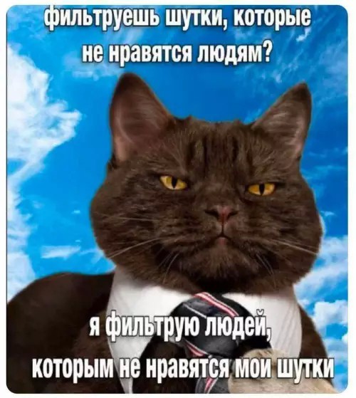 К котовторнику: подборка картинок-баянов с котиками и про котиков. Выпуск 38.