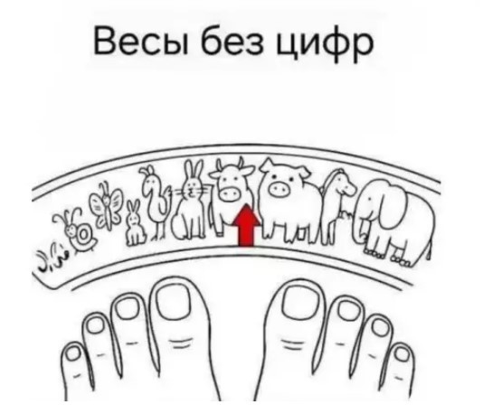 Картиночки, баянчики 01 августа