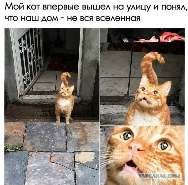 Почему 90% людей на планете верят, что после смерти что-то есть — и это не просто "страшно умирать"