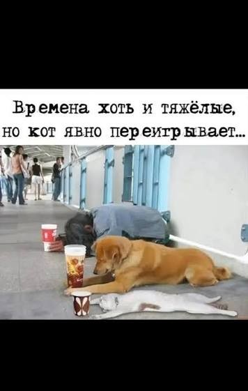 Братаны