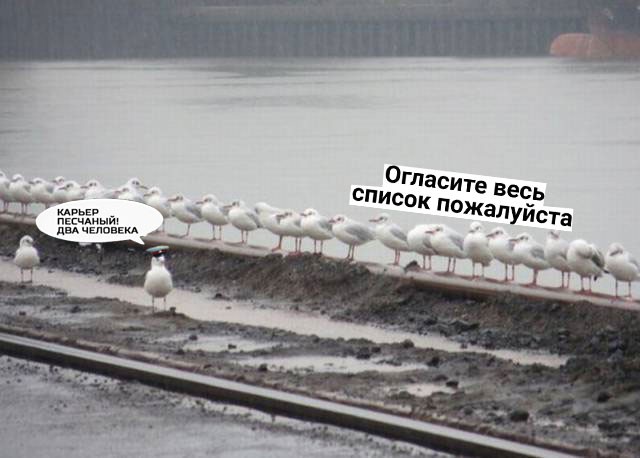 Вы попали на тайное заседание глав теневого правительства