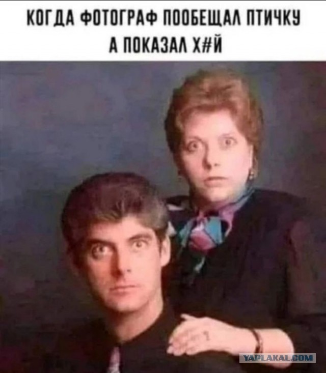 Картинки для деградации 282 (разной степени свежести)