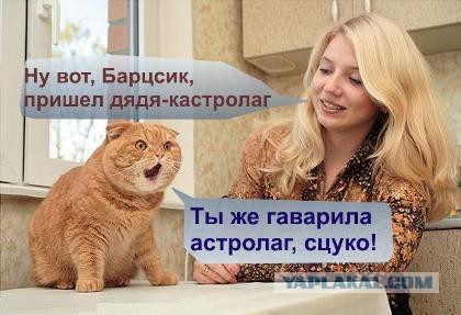 Котовторник  25.03.2014