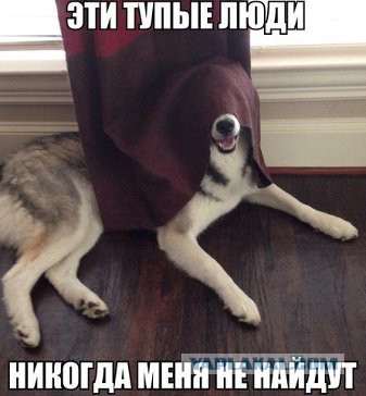 Позитивные картинки