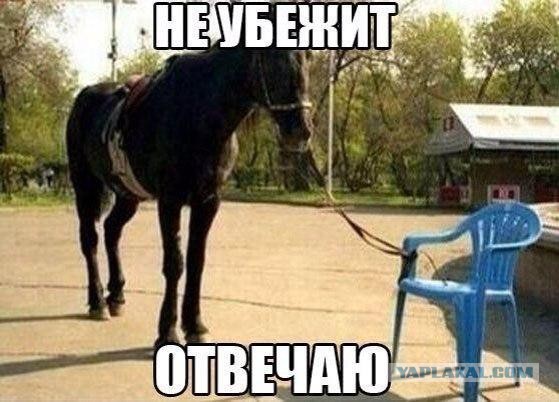 Картинки