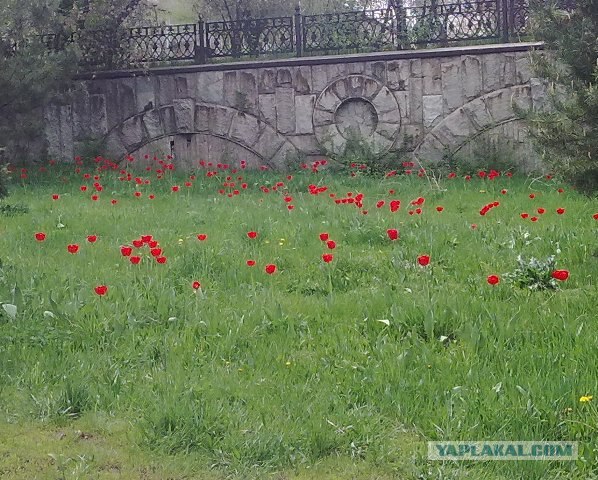 Весеннего настроения пост