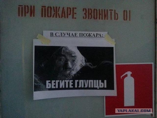 Новые "комментарии из соцсетей"