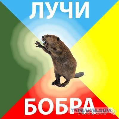 Плюсомет со шпалометом