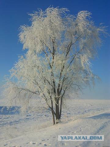 Люблю свой кусочек Рая на земле...