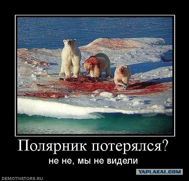 Белых медведей пост.