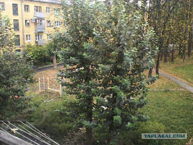 А что у Вас сейчас?