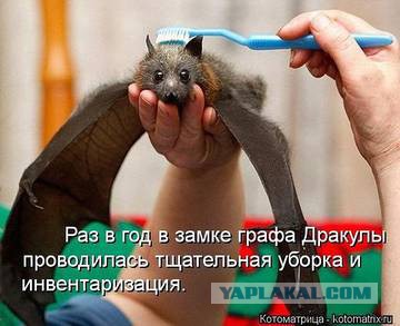 Смешные картинки, приколы, комментарии и прочее...