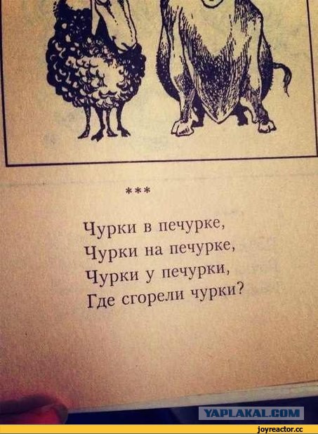 Что думают люди, когда узнают, что я из...