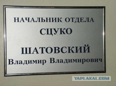 Просто картинки