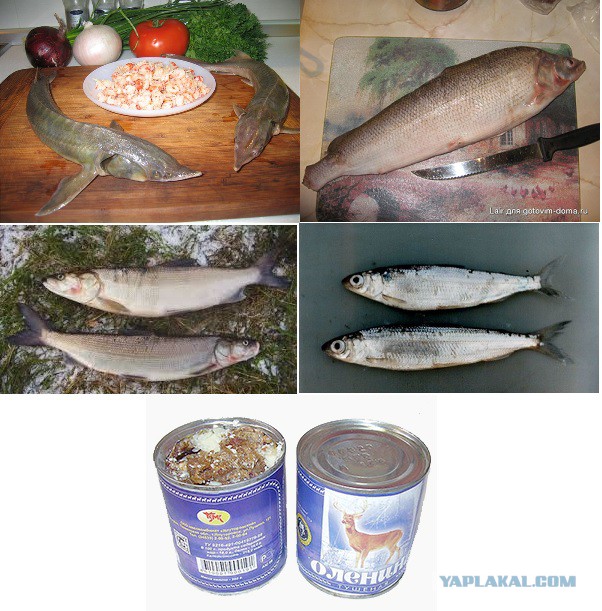 Какие продукты уникальны для Вашего региона?