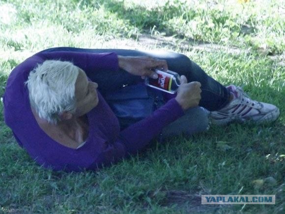 Рыжая Соня