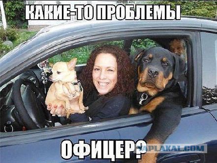 Подборка авто приколов