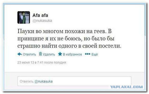 Смешные комментарии из социальных сетей