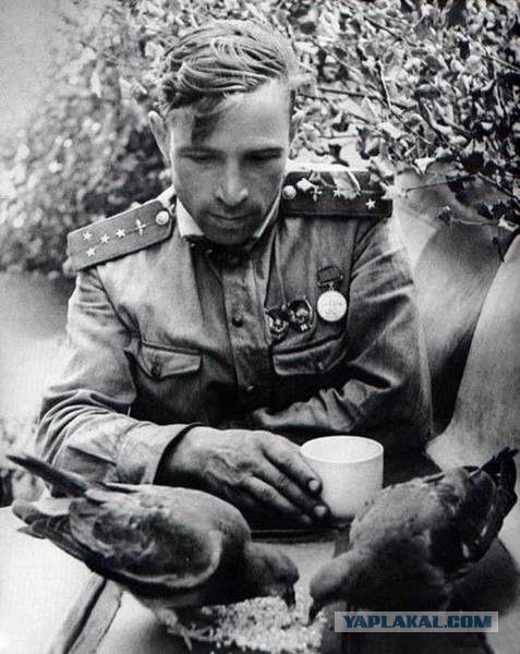 Документальные фото ВОВ 1941-1945