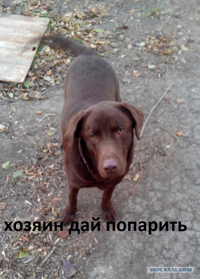 Вся правда об электронных сигаретах