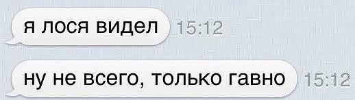 Веселые картинки