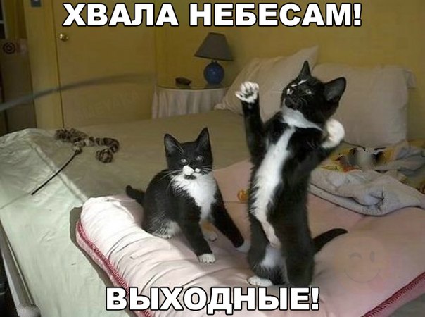 Картинки на пятницу