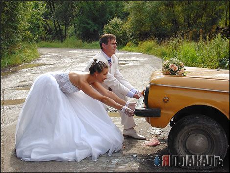 Свадьба, женихи и невесты