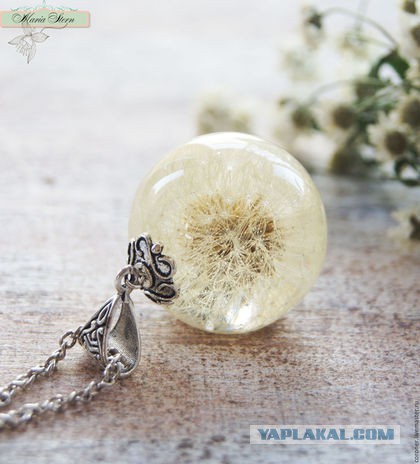 Сохранённый в смоле одуванчик