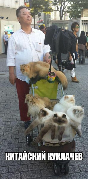 Разные картинки