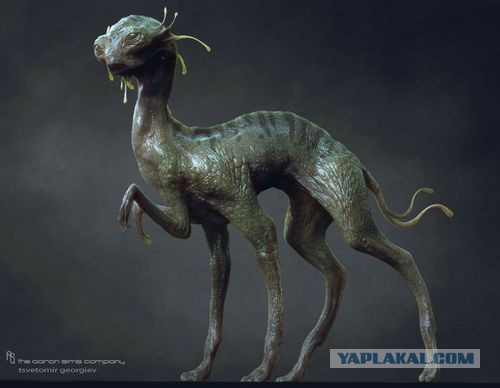 Пост невероятной кошачьей красоты. 25 фот.