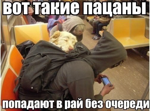 Всяко - разно...картинки