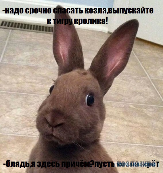 Козел Тимур доигрался.