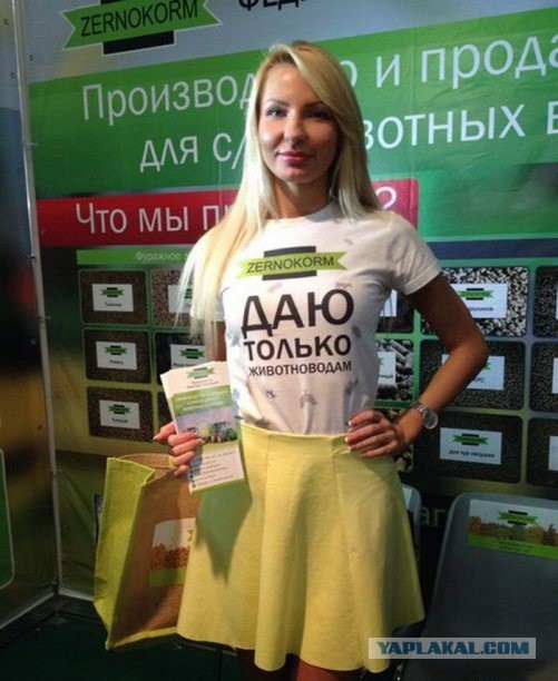 Подборка прикольных объявлений и надписей.