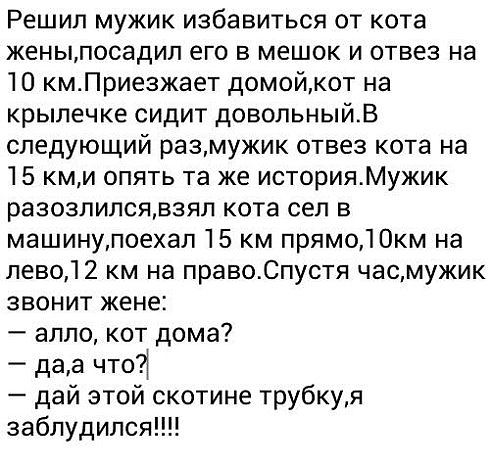 Анекдоты на 17 марта