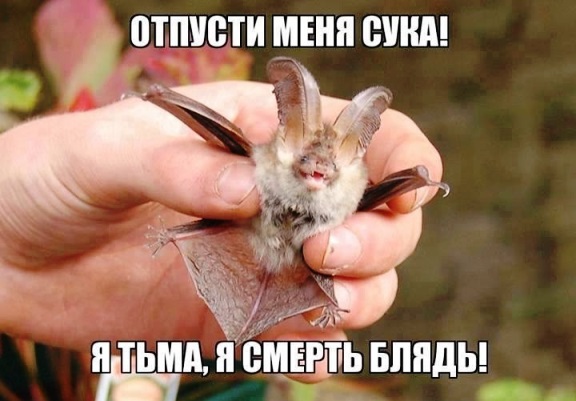 Абстрактный юмор.