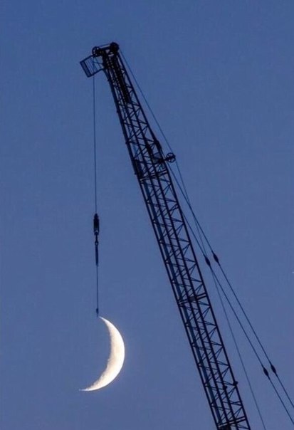 Интересные и веселые картинки