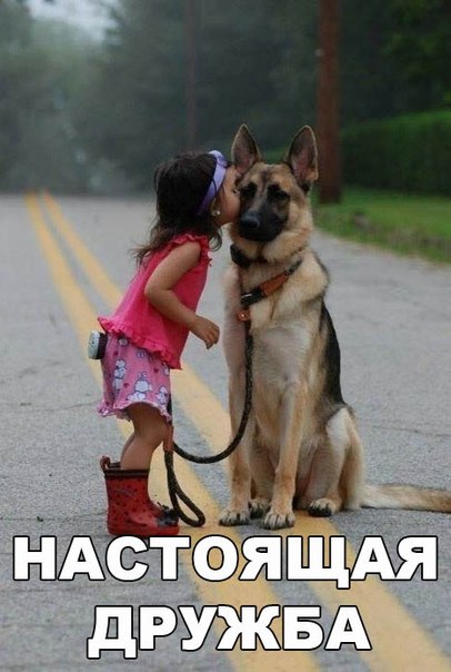 Божьи твари